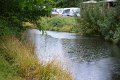 DSC_0155b (14)